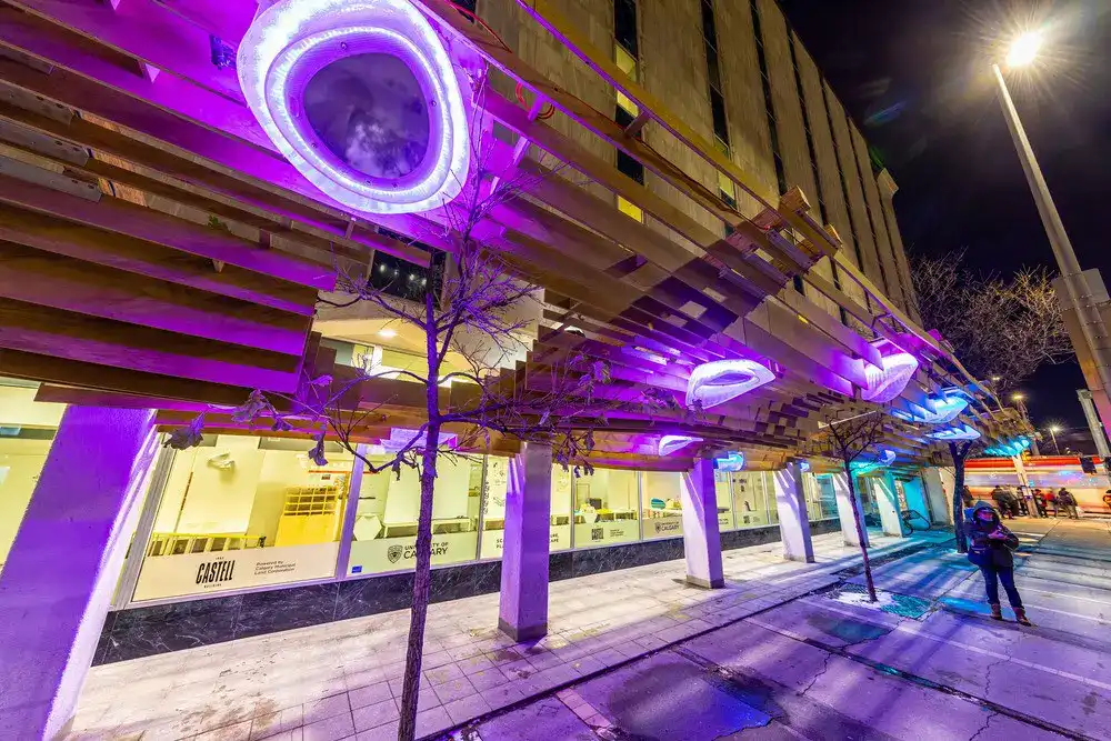 9 Block Project, University of Calgary canopy