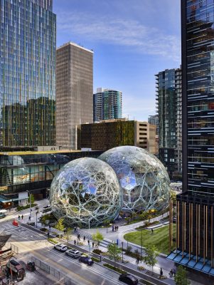Understory Amazon Spheres
