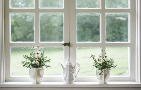 Replacing Your Windows