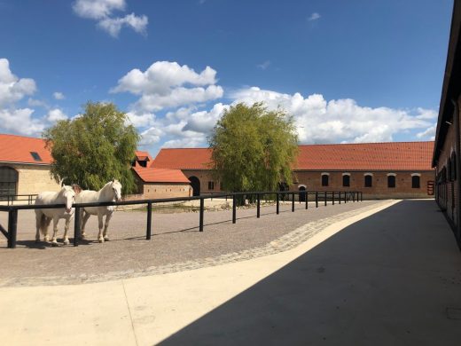 Boulonnais Horse House Samer