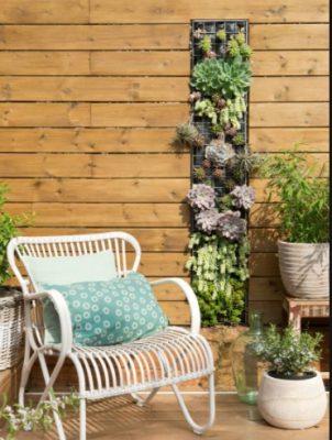 How to create a living wall