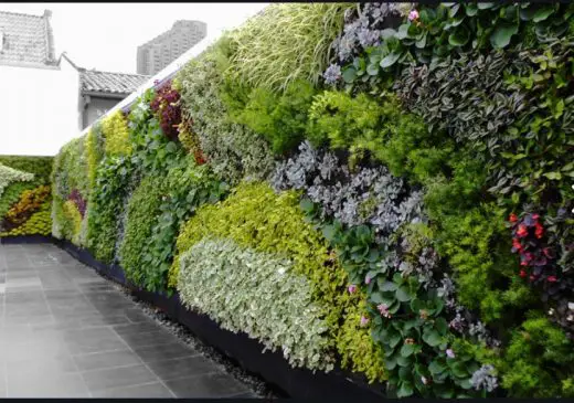 How to create a living wall