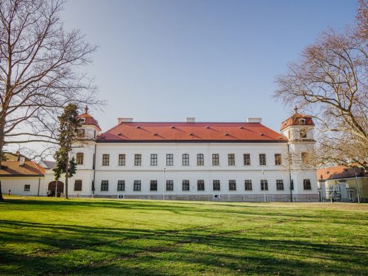 Platan Tata Royal Castle Hungary
