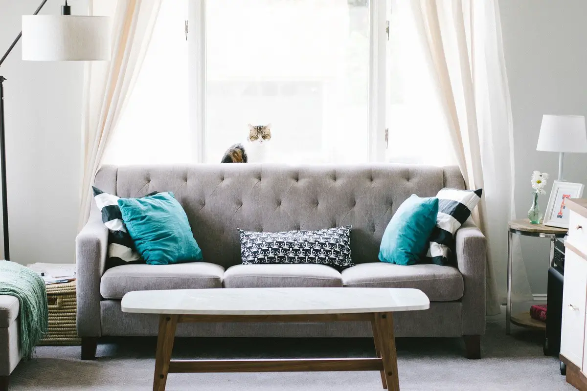 Woven and tufted luxury velvet sofa