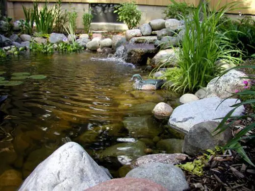 Adding a water feature to outdoor space pond
