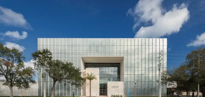 Kate Tiedemann College of Business USF