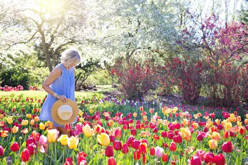 landscape gardening flowers sunshine Spring