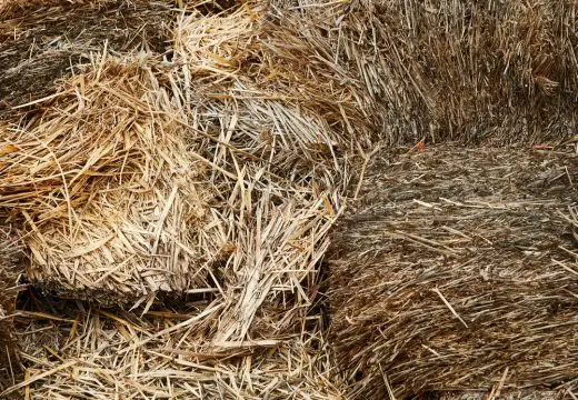 Sustainable Building Timber Frame straw help