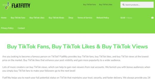 6 tiktok services to save in your favorites in 2021