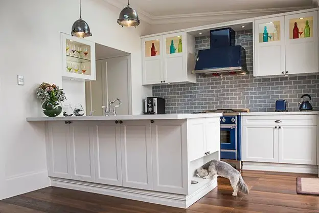 Designing a pet-friendly kitchen tips