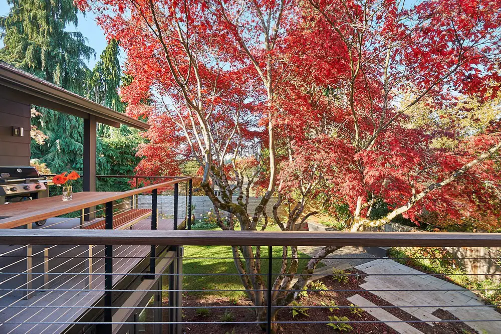 Neighborly Courtyard House Seattle