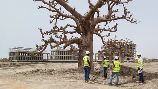 Technology Park Senegal Digital City tree