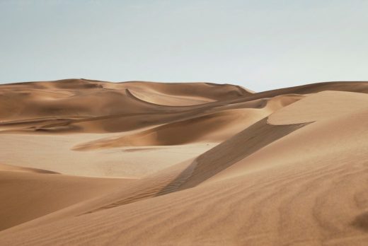 Desert landscape 2021