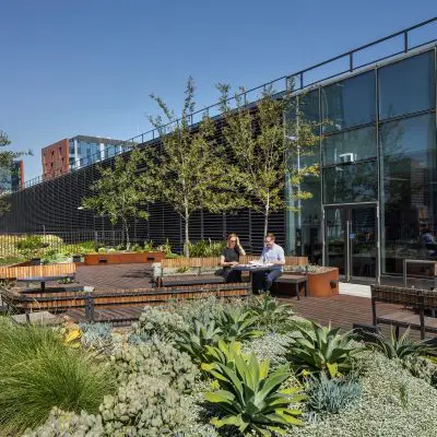 Rooftop at Commonwealth Bank Australia, Darling Square Sydney