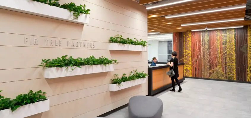 Fir Tree Partners Offices, 55 W 46th Street