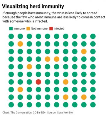 Herd Immunity Screen Austin