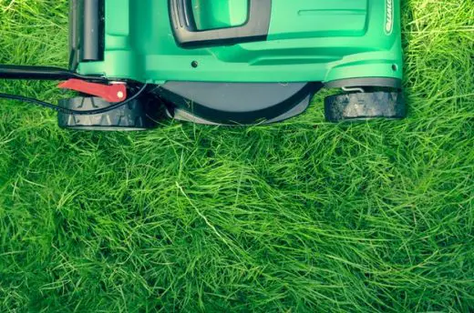 Tools You Need to Maintaining a Beautiful Lawn