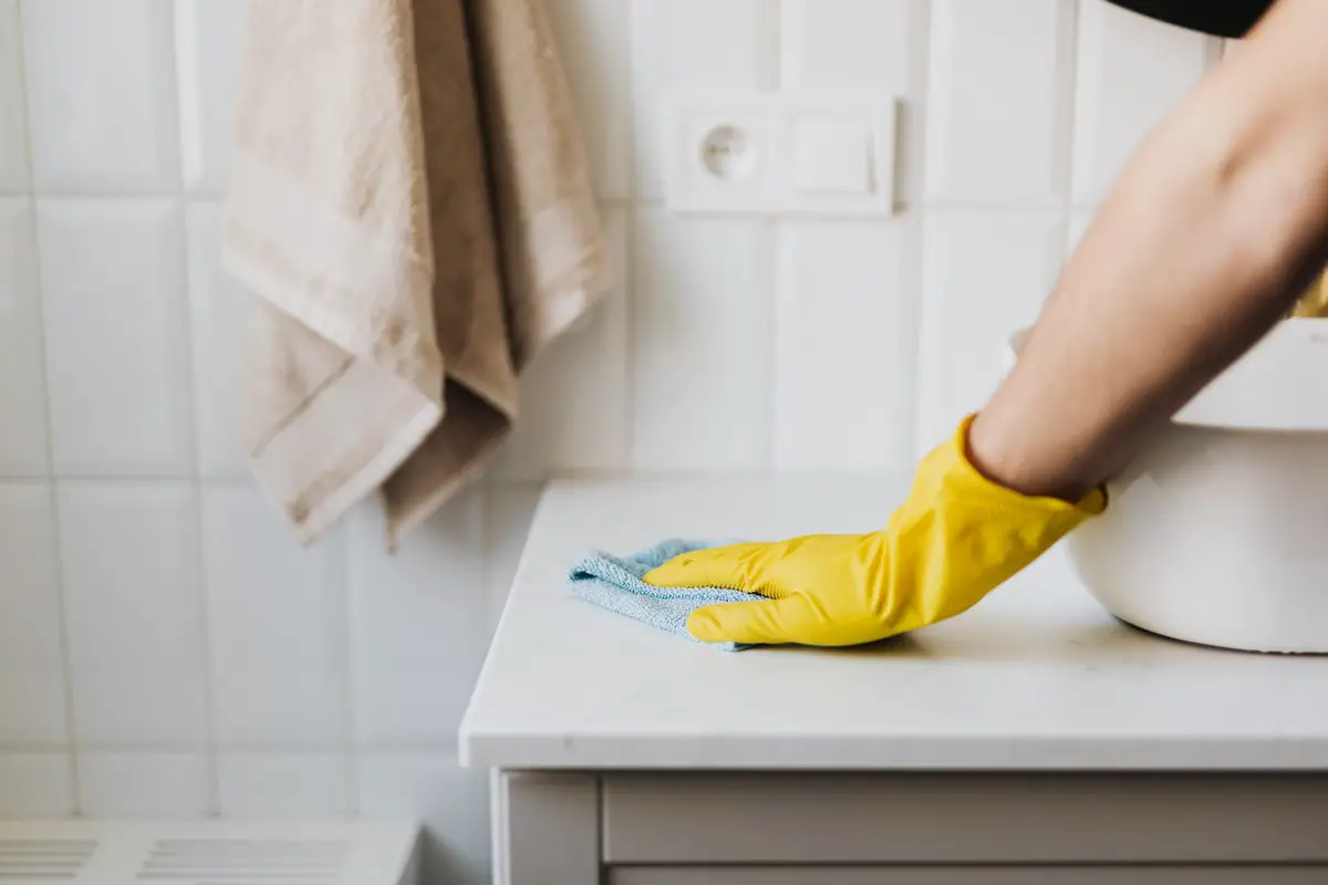 Best professional cleaning service checklist