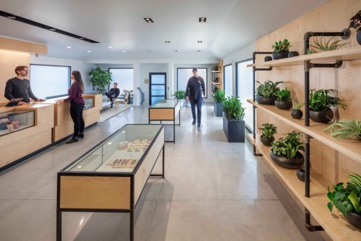 Cultivate Cannabis Dispensary Massachusetts