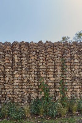 El Terreno Community Garden Mexico City