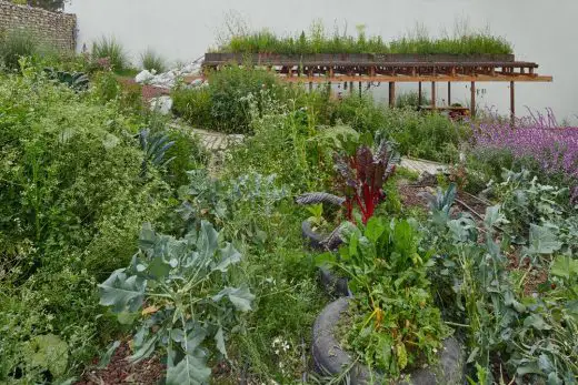 El Terreno Community Garden Mexico City