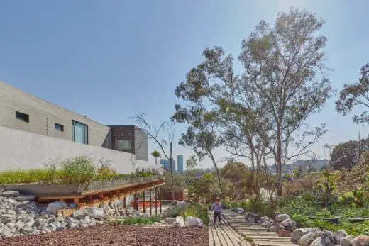 El Terreno Community Garden Mexico City