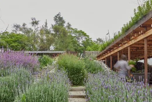 El Terreno Community Garden Mexico City