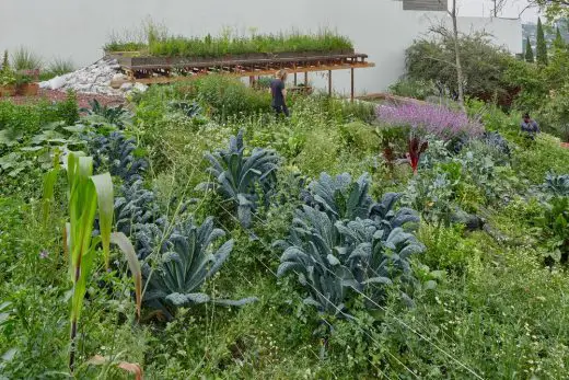 El Terreno Community Garden Mexico City