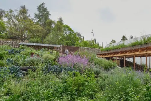 El Terreno Community Garden Mexico City