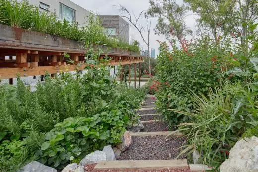 El Terreno Community Garden Mexico City