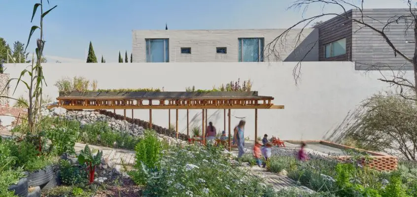 El Terreno Community Garden, Mexico City