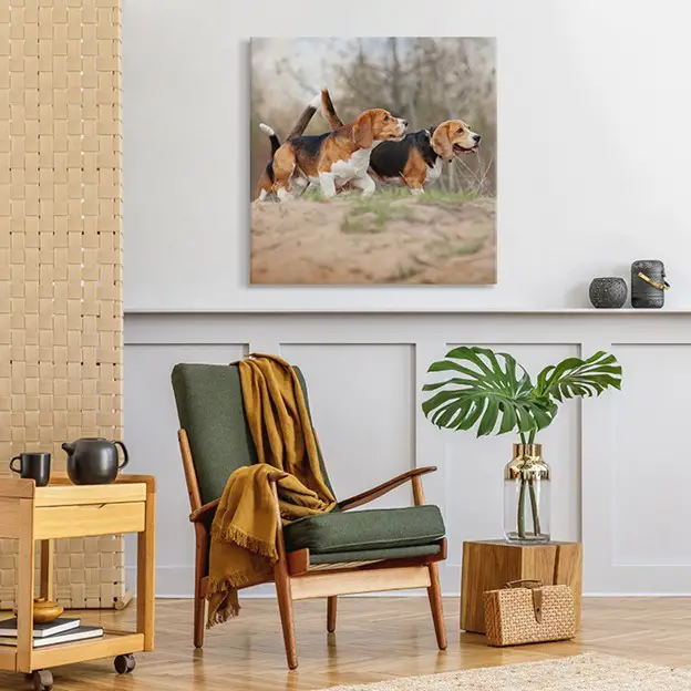 How to spruce up a home with personalized prints