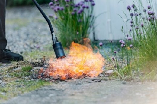 How to use a gas-powered weed eater tips