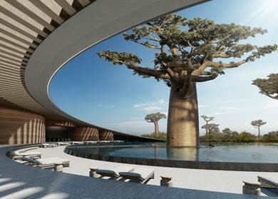 SAOTA Shortlisted for WAF 2021