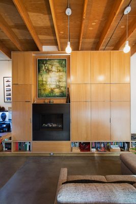 Seattle house design by Fivedot