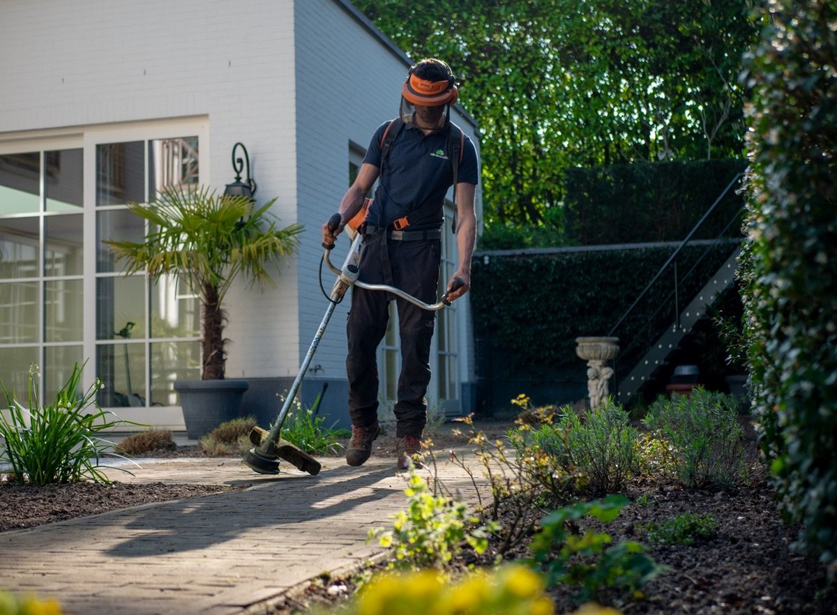 Five effective ways to advertise your gardening firm