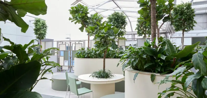 Chelsea And Westminster Hospital Sky Garden