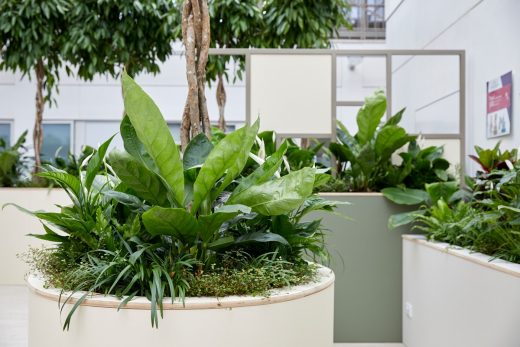 Chelsea And Westminster Hospital Sky Garden in London