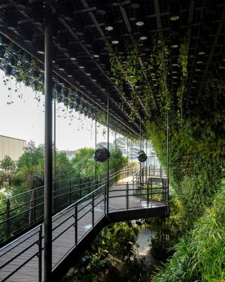 Expo Dubai Singapore Pavilion green wall building UAE