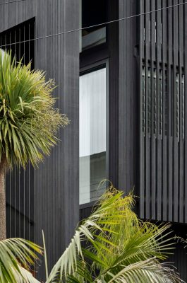 Green Walls & Gables Residence NZ