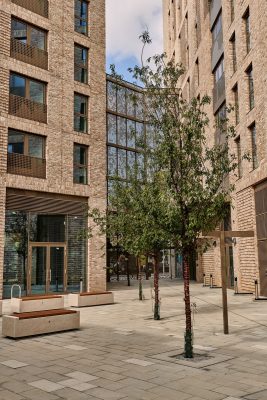 Apex Gardens Seven Sisters, Haringey courtyard