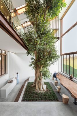 House around a Tree by CRA-Carlo Ratti Associati