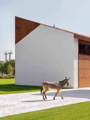 House around a Tree by CRA-Carlo Ratti Associati