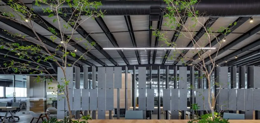 Entretelas Brinco HQ, State of Mexico