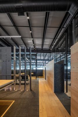 Entretelas Brinco HQ State of Mexico