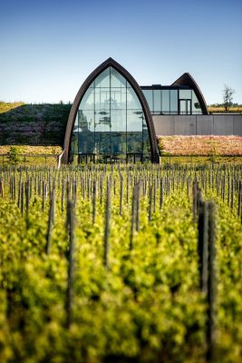 New Carillon d'Angélus Cellar Libourne