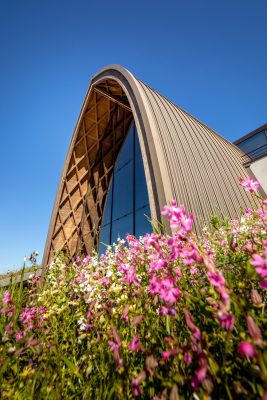 New Carillon d'Angélus Cellar Libourne