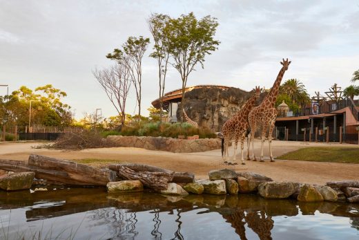 Taronga Zoo African Savannah, Sydney