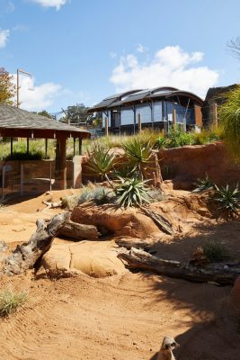 Taronga Zoo African Savannah Sydney