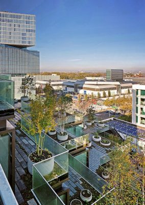 Terrace Tower Amsterdam Zuidas landscape design